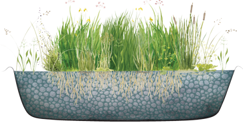 Aquairis Biobädd
